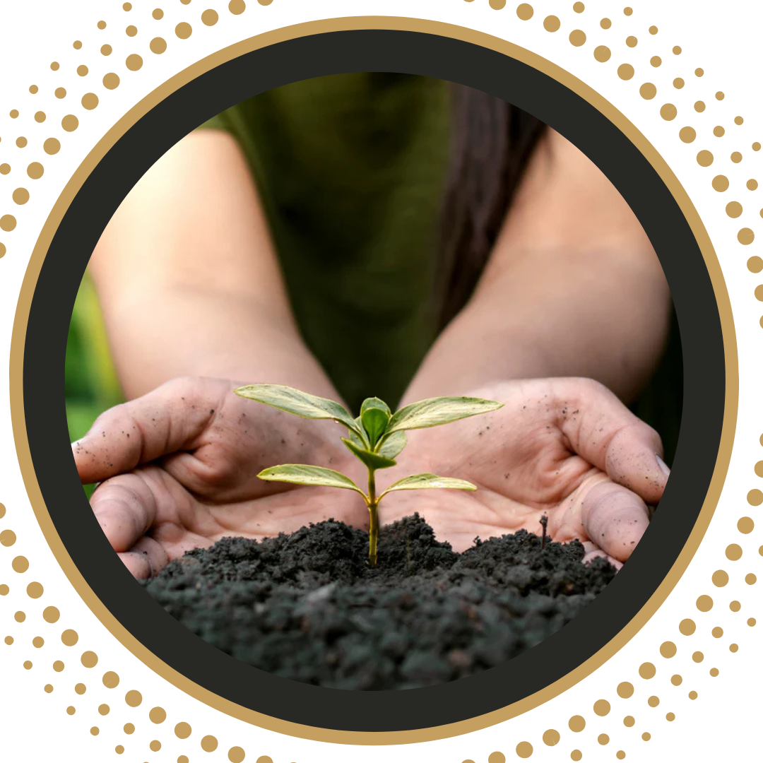 The Carbon Credit Market: Purpose, Opportunities, and Future Potential