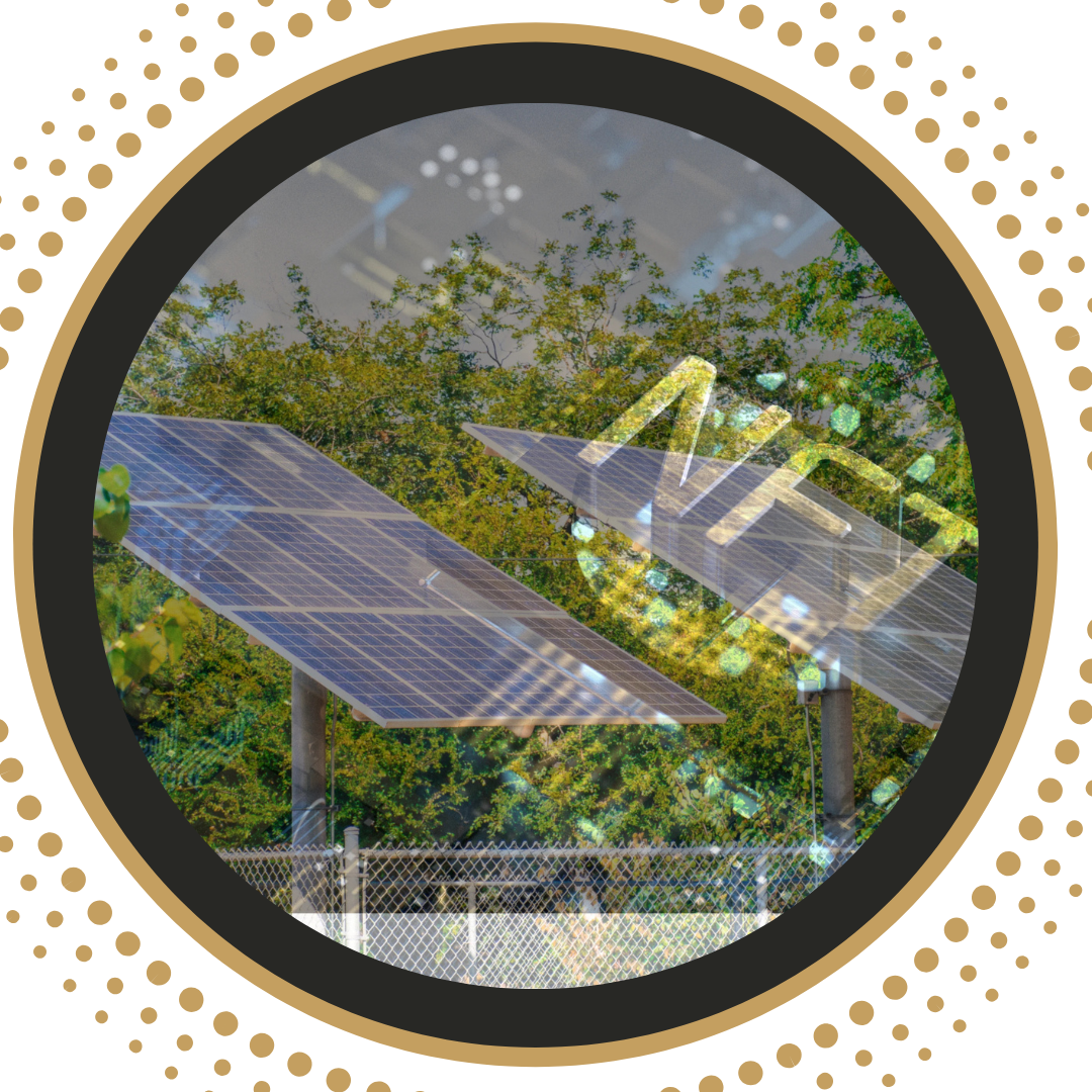 The Intersection of NFTs, Custom Physical Art, and Climate Action: A Path Towards Transparency and Ownership