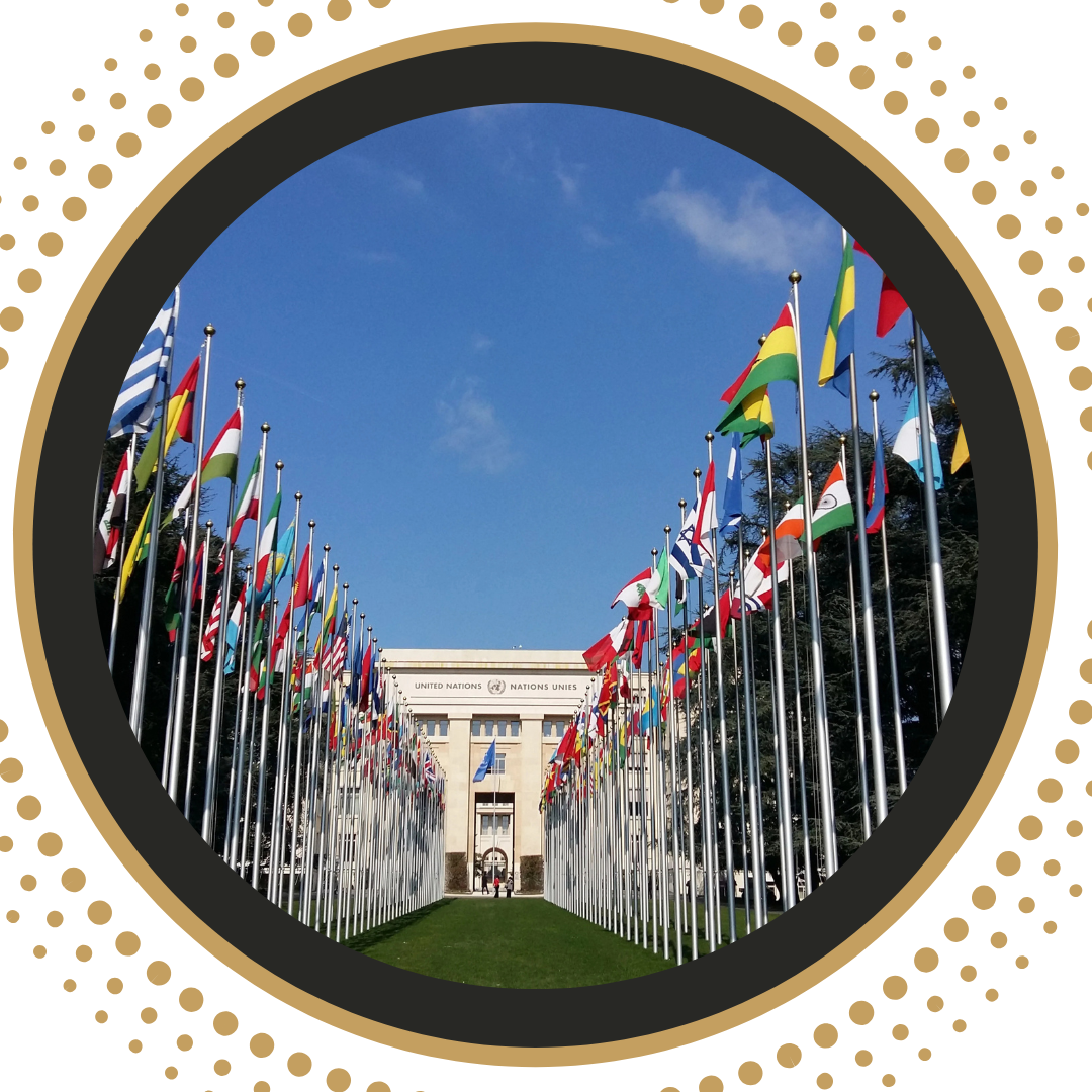 What is the UN Sustainable Development Goals?
